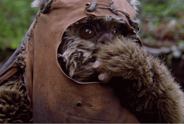 Blinking-Ewok