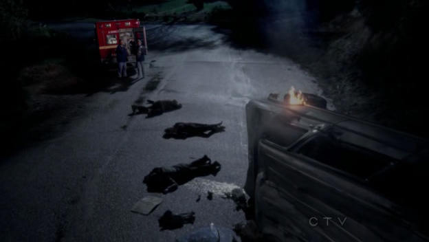 Greys.Anatomy.S08E09.HDTV.XviD-LOL.avi.Still003